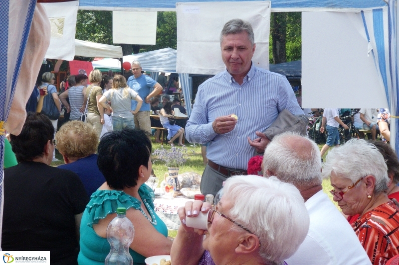 Fakanál Fesztivál 2017 - fotó Szarka Lajos