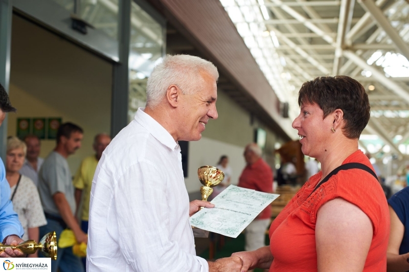 Piac szépségverseny és új parkolók - fotó Szarka Lajos