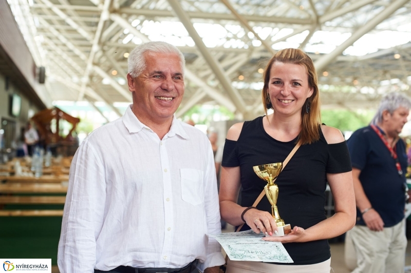 Piac szépségverseny és új parkolók - fotó Szarka Lajos