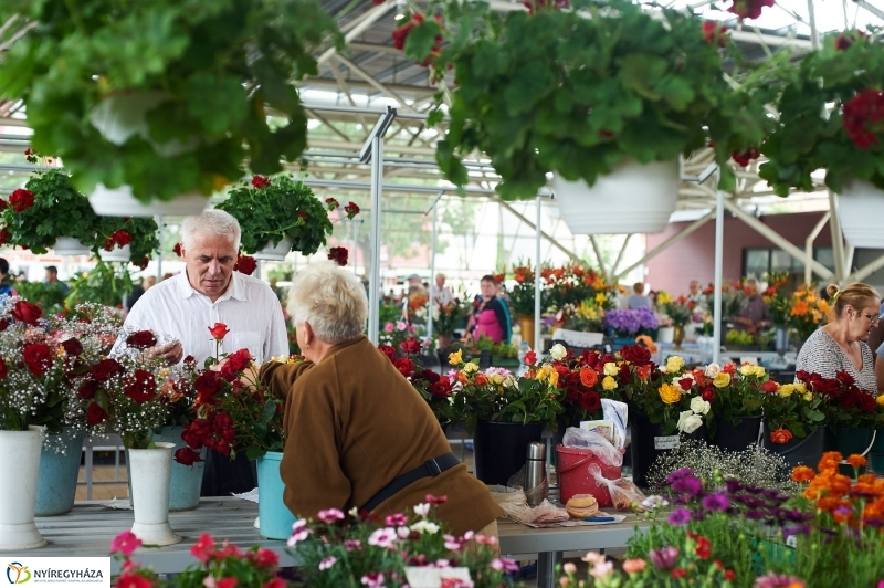 Piac szépségverseny és új parkolók - fotó Szarka Lajos