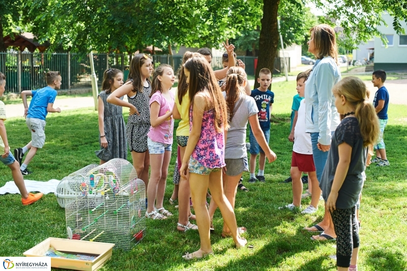 Az utolsó nap - fotó Szarka Lajos