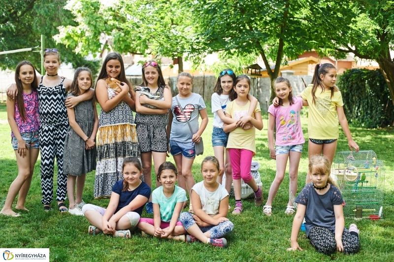 Az utolsó nap - fotó Szarka Lajos