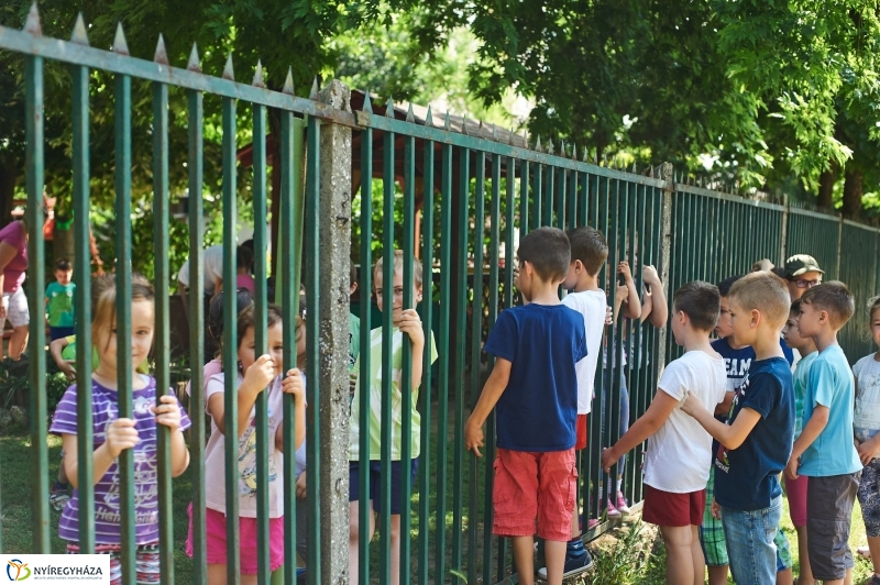 Az utolsó nap - fotó Szarka Lajos