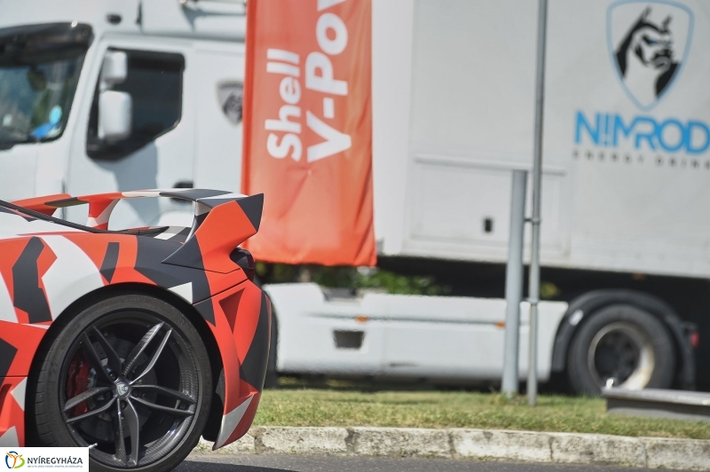 Olasz ménes Nyíregyházán - fotó Szarka Lajos