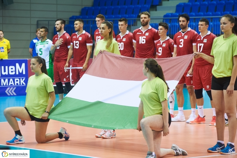 Magyarország-Dánia férfi röplabda - fotó Szarka Lajos