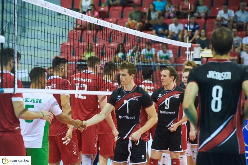 Magyarország-Dánia férfi röplabda - fotó Szarka Lajos