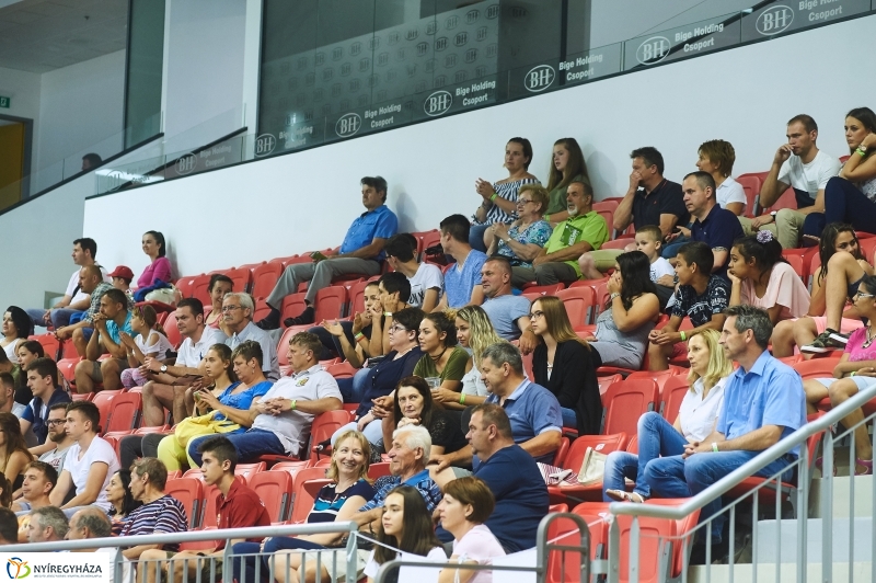 Magyarország-Dánia férfi röplabda - fotó Szarka Lajos