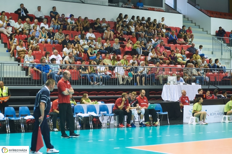 Magyarország-Dánia férfi röplabda - fotó Szarka Lajos