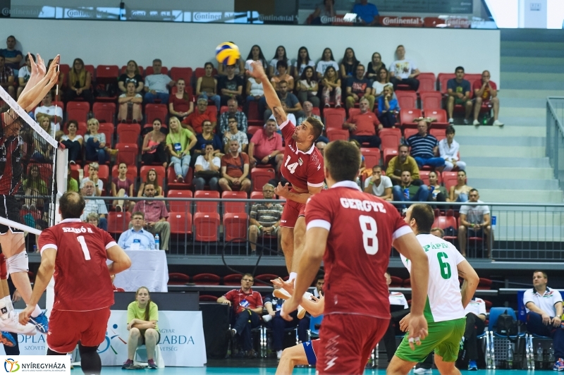 Magyarország-Dánia férfi röplabda - fotó Szarka Lajos