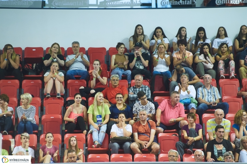 Magyarország-Dánia férfi röplabda - fotó Szarka Lajos