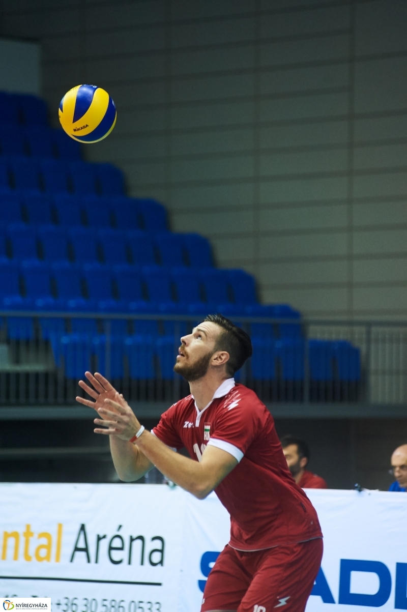Magyarország-Dánia férfi röplabda - fotó Szarka Lajos