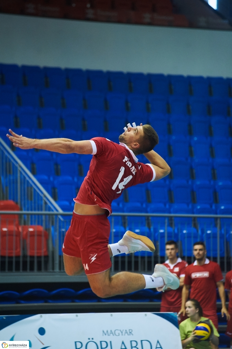Magyarország-Dánia férfi röplabda - fotó Szarka Lajos