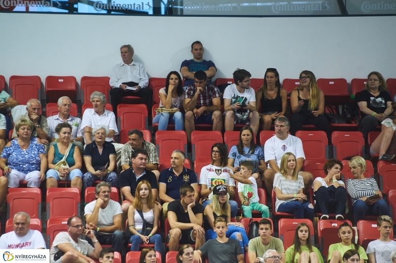 Magyarország-Dánia férfi röplabda - fotó Szarka Lajos