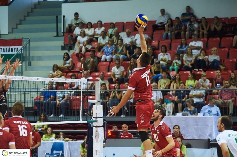 Magyarország-Dánia férfi röplabda - fotó Szarka Lajos