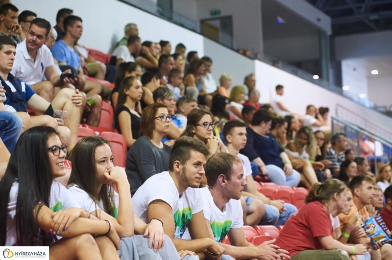 Magyarország-Dánia férfi röplabda - fotó Szarka Lajos