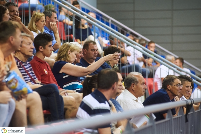 Magyarország-Dánia férfi röplabda - fotó Szarka Lajos