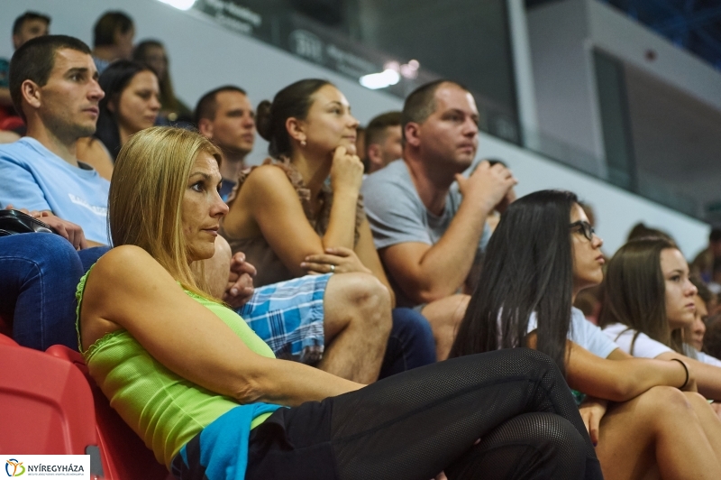 Magyarország-Dánia férfi röplabda - fotó Szarka Lajos