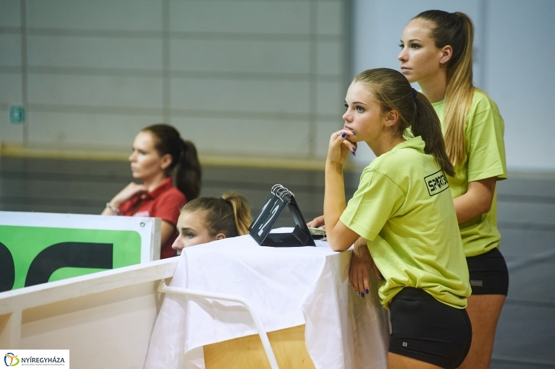 Magyarország-Dánia férfi röplabda - fotó Szarka Lajos