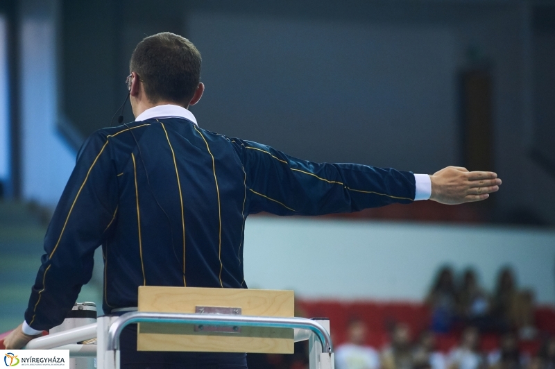 Magyarország-Dánia férfi röplabda - fotó Szarka Lajos