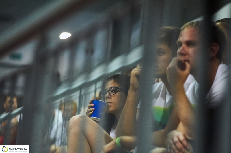 Magyarország-Dánia férfi röplabda - fotó Szarka Lajos