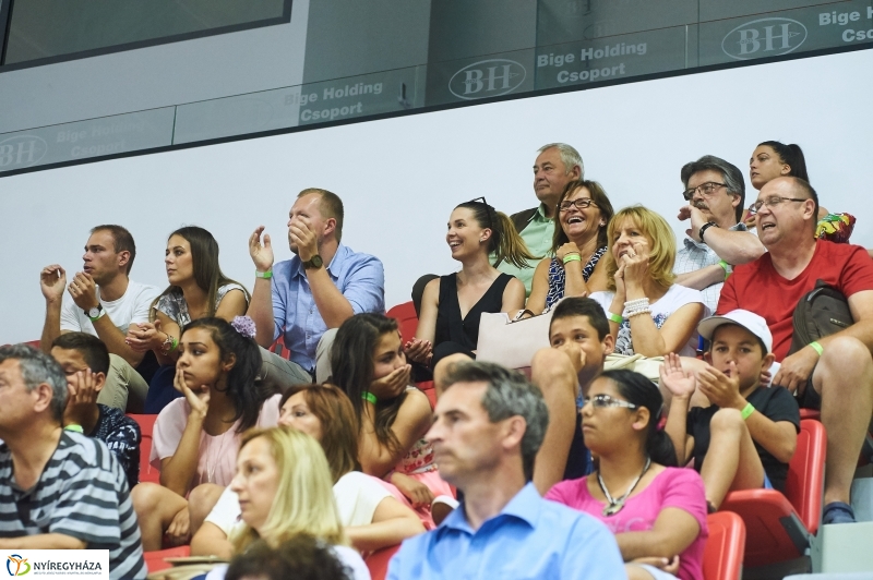 Magyarország-Dánia férfi röplabda - fotó Szarka Lajos