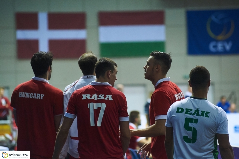 Magyarország-Dánia férfi röplabda - fotó Szarka Lajos