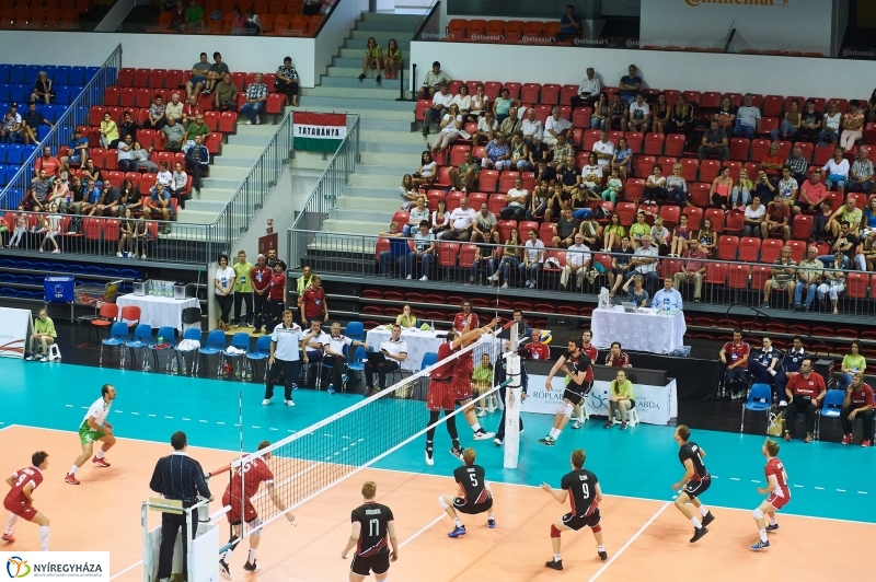 Magyarország-Dánia férfi röplabda - fotó Szarka Lajos