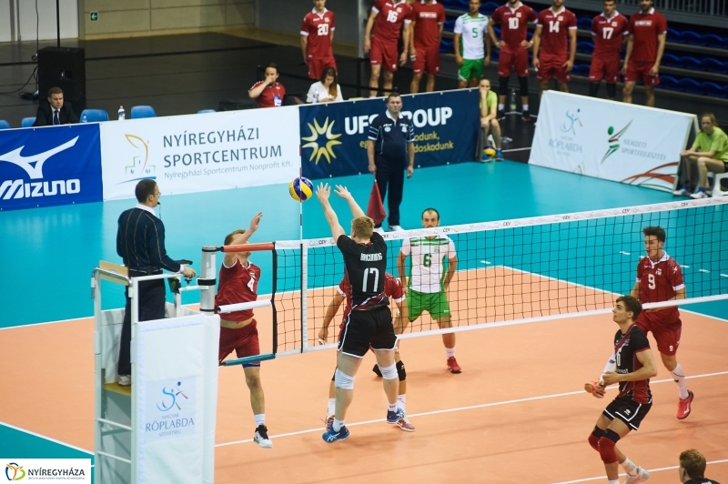 Magyarország-Dánia férfi röplabda - fotó Szarka Lajos