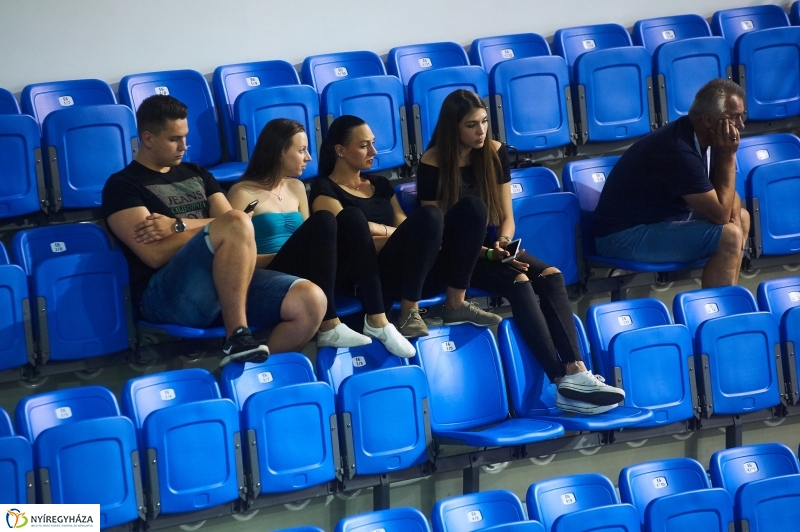 Magyarország-Dánia férfi röplabda - fotó Szarka Lajos