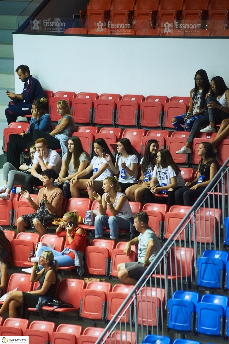 Magyarország-Dánia férfi röplabda - fotó Szarka Lajos