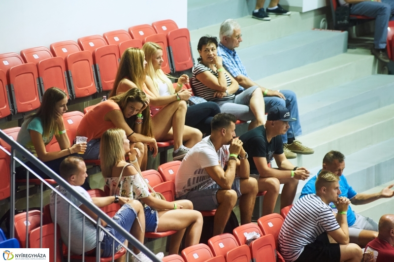 Magyarország-Dánia férfi röplabda - fotó Szarka Lajos