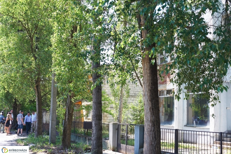 Pangea Ökocentrum sajtótájékoztató - fotó Szarka Lajos