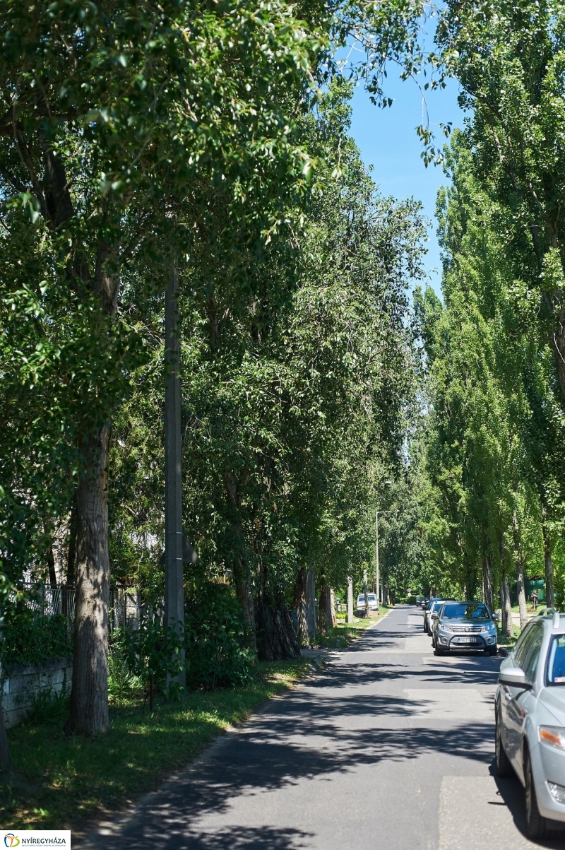 Pangea Ökocentrum sajtótájékoztató - fotó Szarka Lajos