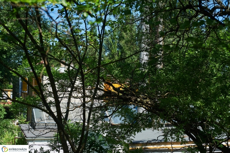 Pangea Ökocentrum sajtótájékoztató - fotó Szarka Lajos