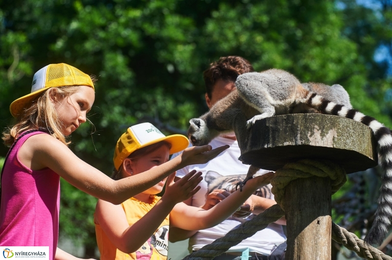 Zootábor az állatparkban - fotó Szarka Lajos
