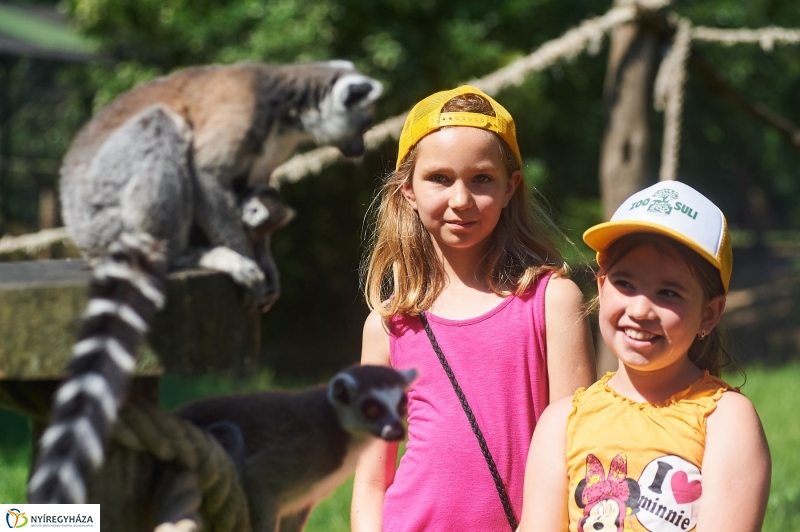 Zootábor az állatparkban - fotó Szarka Lajos