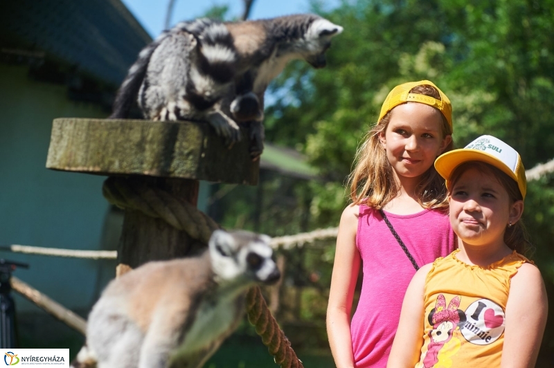 Zootábor az állatparkban - fotó Szarka Lajos