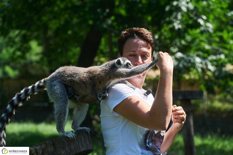 Zootábor az állatparkban - fotó Szarka Lajos
