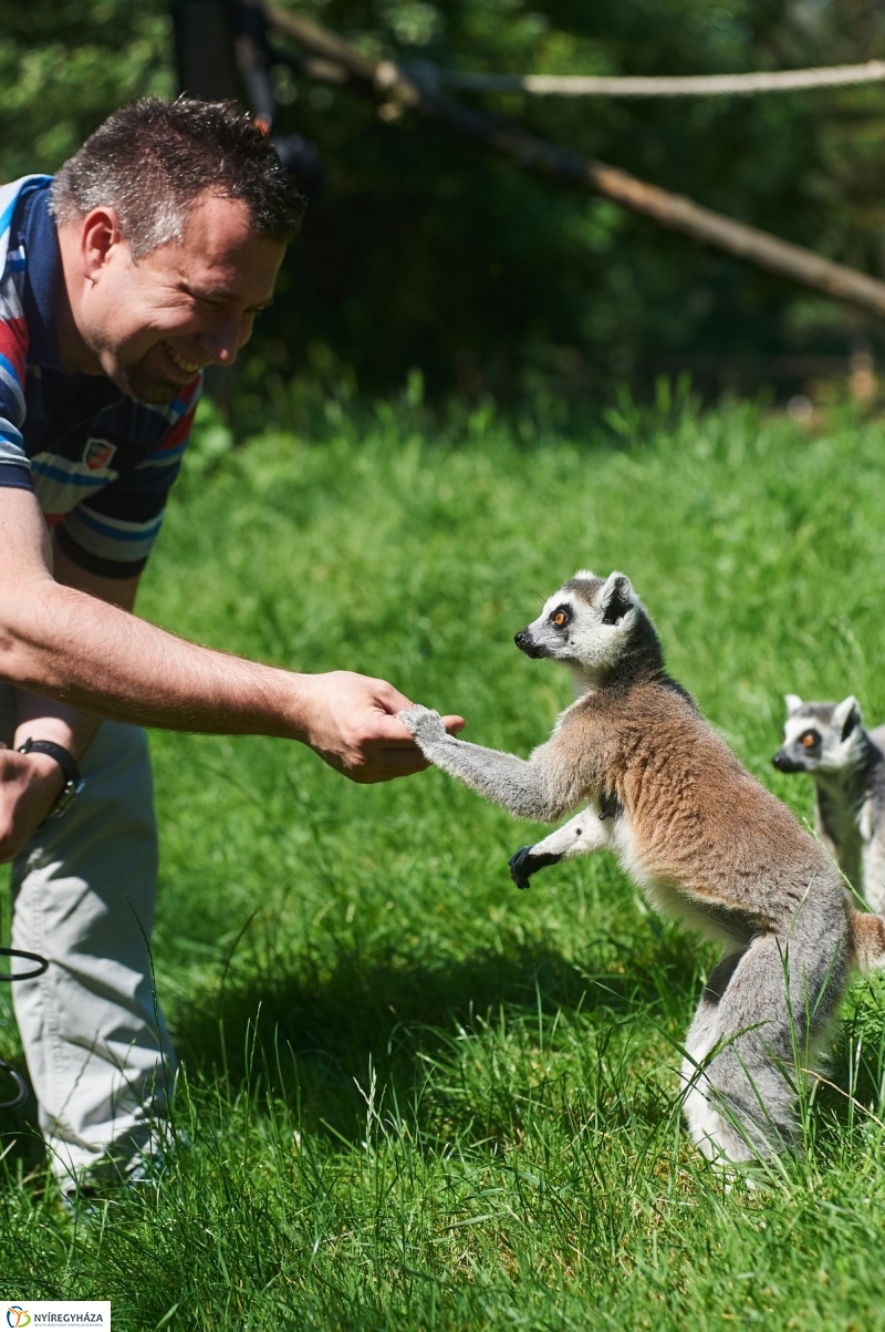 Zootábor az állatparkban - fotó Szarka Lajos