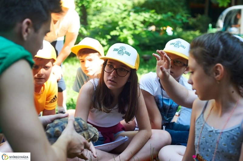 Zootábor az állatparkban - fotó Szarka Lajos