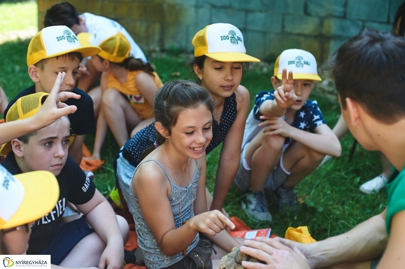 Zootábor az állatparkban - fotó Szarka Lajos