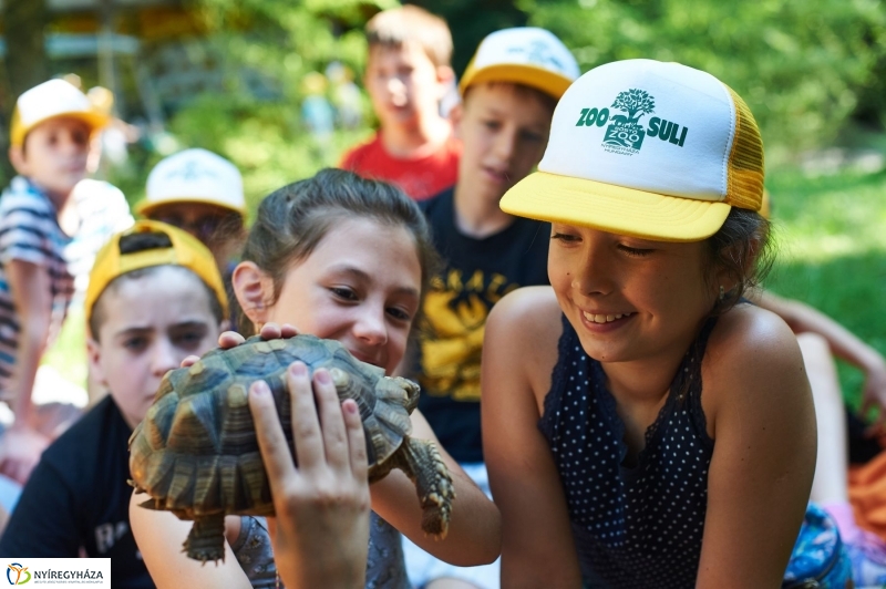 Zootábor az állatparkban - fotó Szarka Lajos