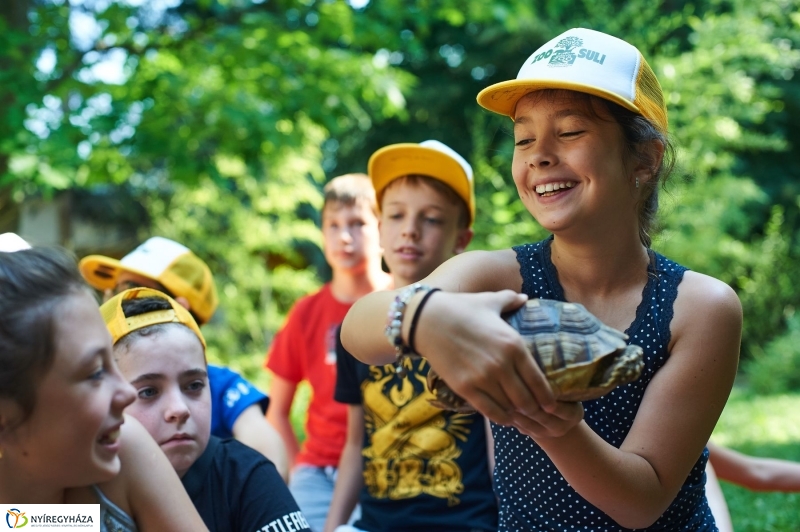Zootábor az állatparkban - fotó Szarka Lajos