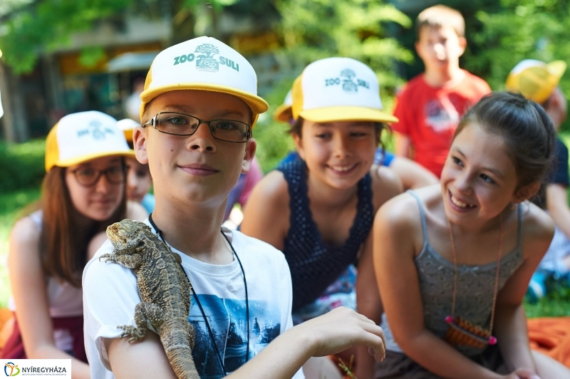 Zootábor az állatparkban - fotó Szarka Lajos
