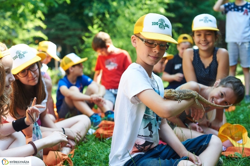 Zootábor az állatparkban - fotó Szarka Lajos