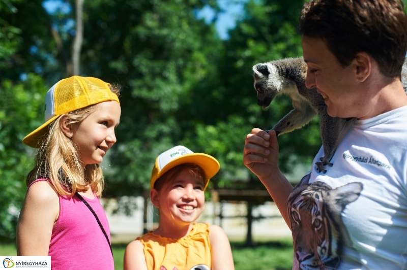 Zootábor az állatparkban - fotó Szarka Lajos