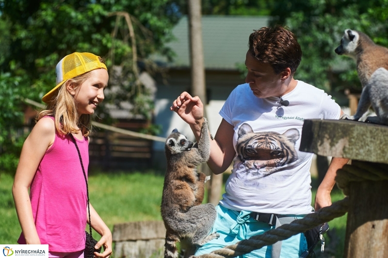Zootábor az állatparkban - fotó Szarka Lajos