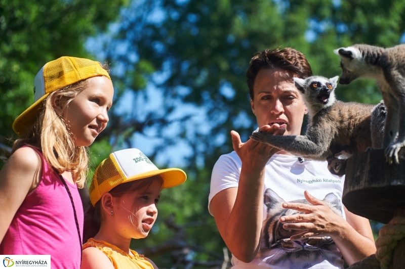 Zootábor az állatparkban - fotó Szarka Lajos
