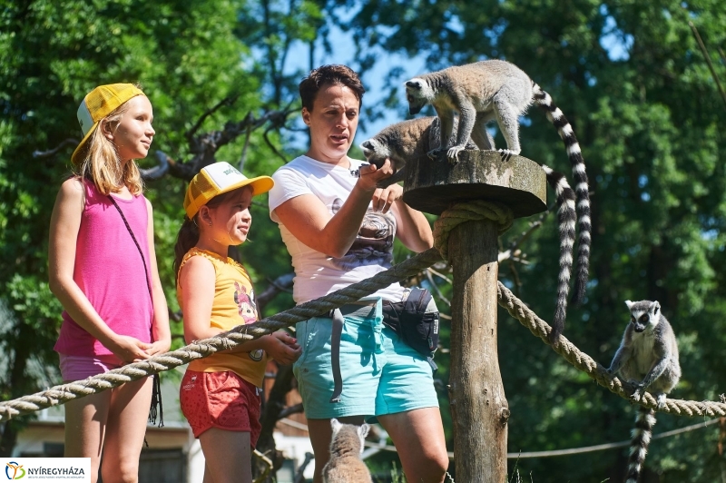 Zootábor az állatparkban - fotó Szarka Lajos