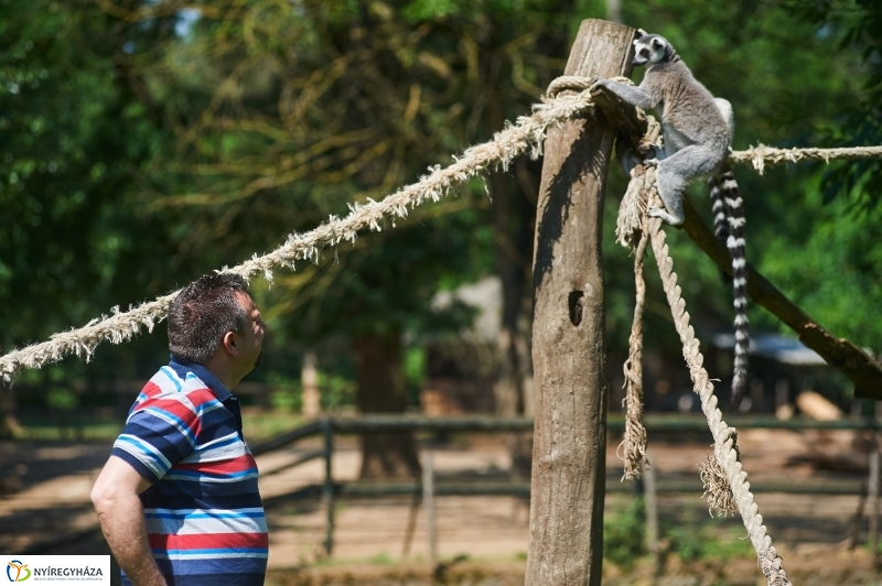 Zootábor az állatparkban - fotó Szarka Lajos